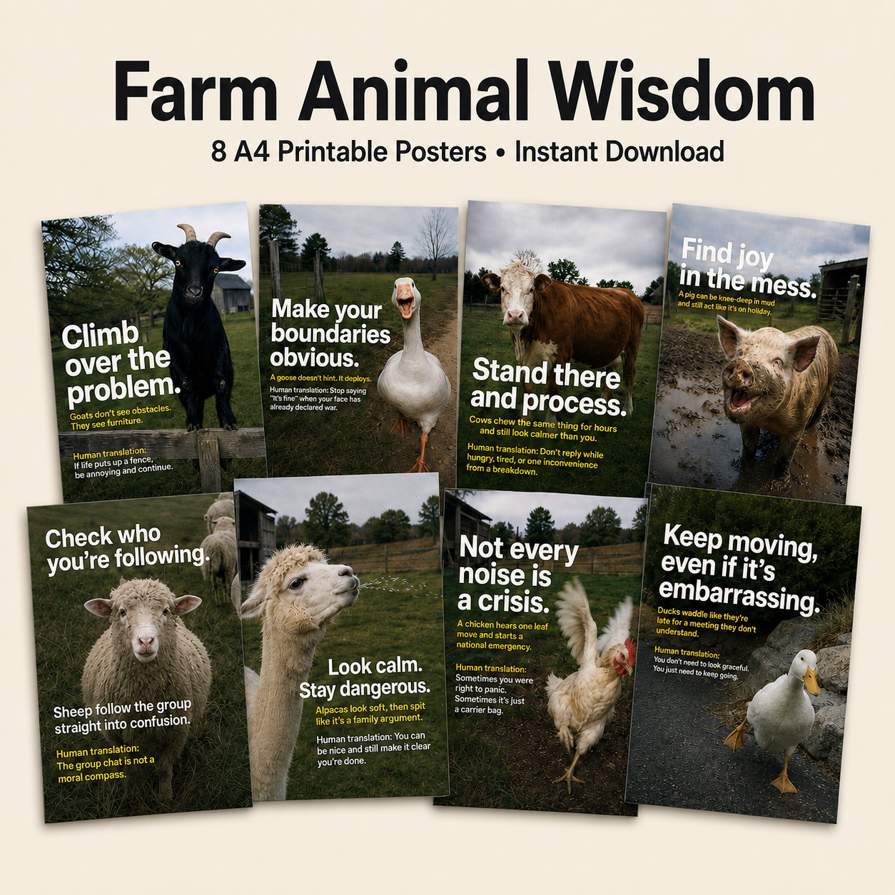 Animal Wisdom Pack