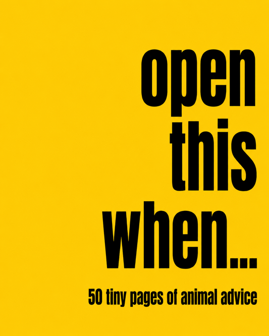 open this when…